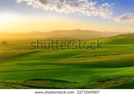 beautiful green valley with green fields with green spring grass with nive hills and mountains and scrnic colorful cloudy sunset on background of landscape Royalty-Free Stock Photo #2271069007