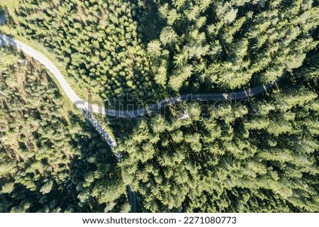 Path trough the Swedish forest from the sky! green grass, trees, path's and hiking trails