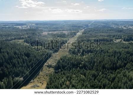 Swedish forest from the sky! green grass, trees, path's and hiking trails