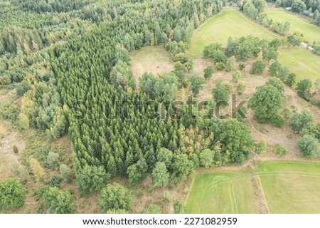 Swedish forest from the sky! green grass, trees, path's and hiking trails