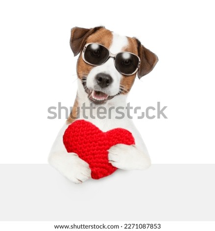 Jack Russel terrier puppy wearing sunglasses holds the red heart above empty white banner. isolated on white background