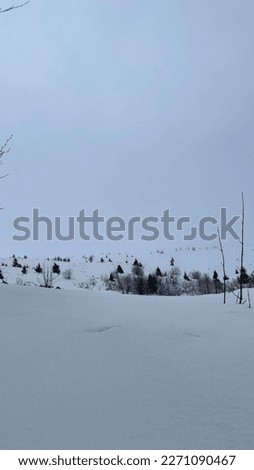 winter snowy Ukrainian mountains, snow, nature in winter