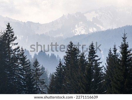 Forested mountain slopes and mountain ranges with snow and low lying valley fog with silhouettes of evergreen conifers shrouded in mist. Snowy winter landscape in Alps, Allgau, Gunzesried, Bavaria.