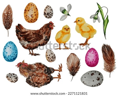 Watercolor easter chicken stickers set. Traditional festive decor set.  Spring clip art of  painted colored eggs, flowers, feathers, chicken, snowdrops.