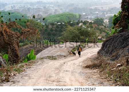 Scenery of rural road landscape and nature with treking man along with 2 dogs Royalty-Free Stock Photo #2271125347