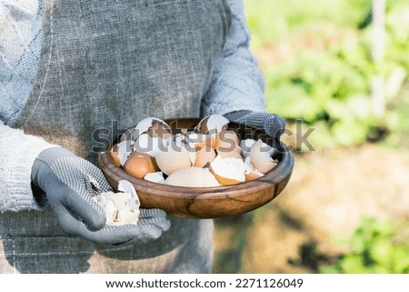 Brown and white eggshells placed in wooden bowl in hands of woman in vegetable garden background, eggshells stored for making natural fertilizers for growing vegetables, sustainability concept Royalty-Free Stock Photo #2271126049