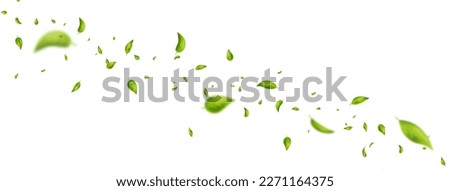 Green leaves flying on long white background. Leaf falling. Wave foliage ornament. Vegan, eco, organic design element. Cosmetic pattern border. Fresh tea banner. Beauty product. Vector illustration.
