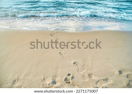 Close-up of a beach with a calm transparent wave. Romantic sea coast with golden sand. Royalty-Free Stock Photo #2271175007