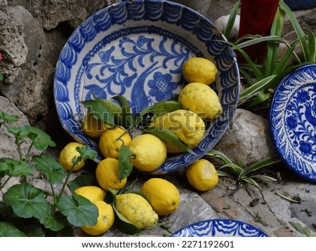       Lemons and blue bowls in a patio in Granada, Spain                         