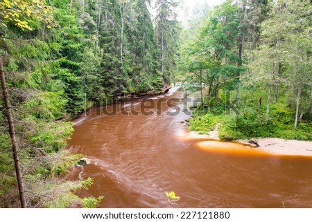 Mountain river with Flowing Water Stream and sandstone cliffs