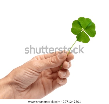 Woman holding beautiful green four leaf clover on white background, closeup Royalty-Free Stock Photo #2271249301