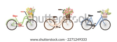Set of three Cute Ladies bicycle with baskets of spring flowers. Women city retro bike. Summer vintage journey concept. Romance. Good for cards, greeting. Flat vector illustration on white background