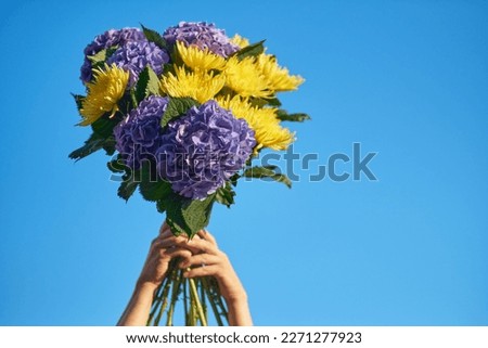 hands holding a bouquet of blue hydrangea on the background of blue sky , spring summer concept. High quality photo