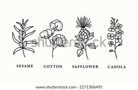 Set of line art sesame, safflower, canola, cotton Royalty-Free Stock Photo #2271306495
