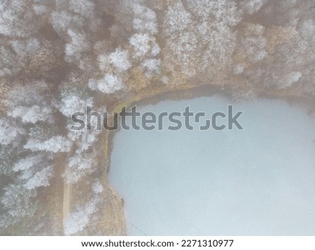 Aerial view or top view of winter forest lake, showing the ice on the lake and the pine trees with snow covered. Winter background shot by a drone. High quality photo