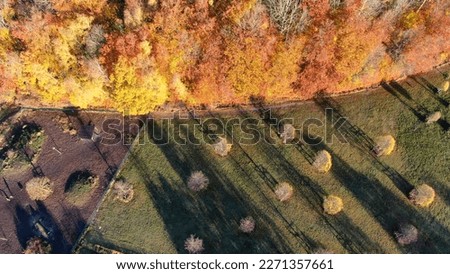 A park in autumn colors on Ekerö