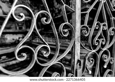 Wrought iron fencing in Buenos Aires, Argentina
