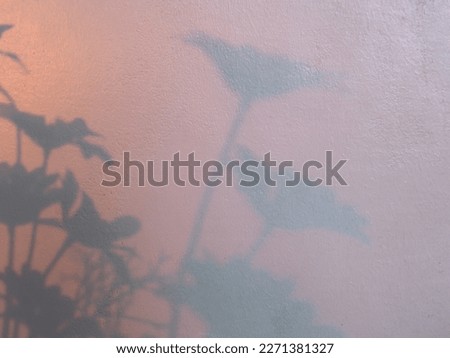Shadow of a blossoming flower on a concrete wall for a pastel minimalist background.