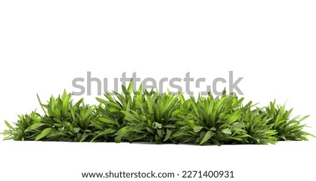 green ribbed plantain, plant, beautiful floral background, 3d render Royalty-Free Stock Photo #2271400931