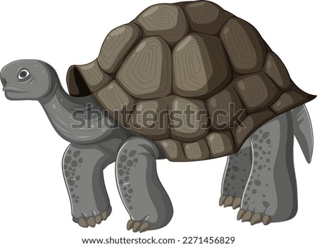 The tortoise standing on the white background illustration