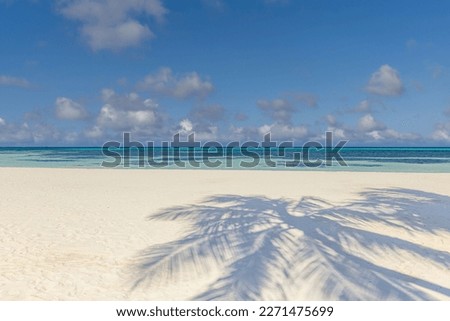 Beach palm trees on the sunny sandy beach and turquoise ocean from above. Amazing summer nature landscape. Stunning sunny beach scenery, relaxing peaceful and inspirational beach vacation template
