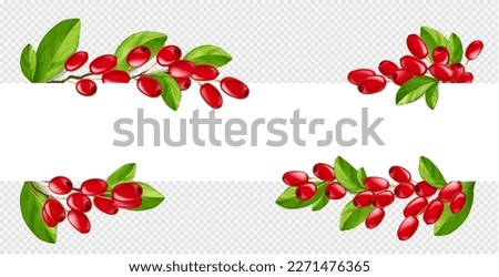 Isolated realistic barberry border illustration in vector on transparent background. Horizontal white frame with fresh red goji berry branch for title. Culinary and botanical png banner with twig. Royalty-Free Stock Photo #2271476365