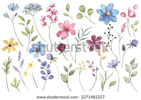 Watercolor blue and pink flowers and green leaves, floral illustration for greeting card, invitation and other printing design. Isolated on white. Hand drawing.