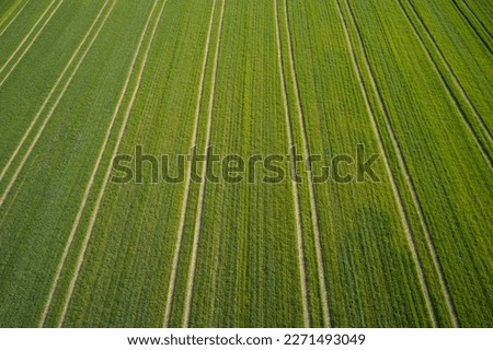 Stripes on the green field. Green field top view. Large green field aerial view. Bright green field.