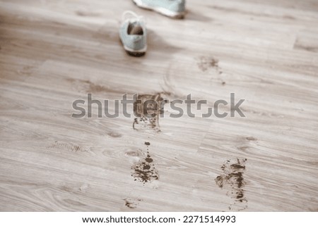 A trail of dirty on the floor indoors. Daily life dirty stain. High quality photo