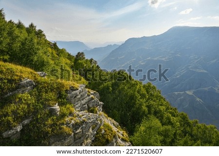 Landscape in the mountains with rocks, wildflowers, trees and blue sky on a sunny summer day. Dagestan, Russia.