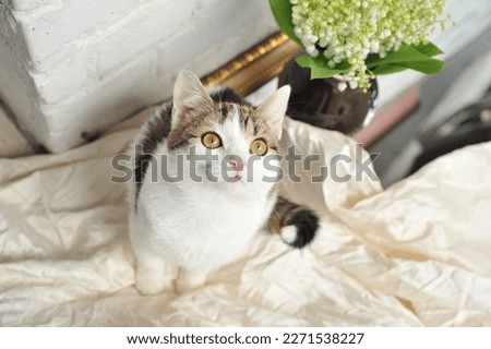 Spring photo of a cat with a bouquet of flowers.
