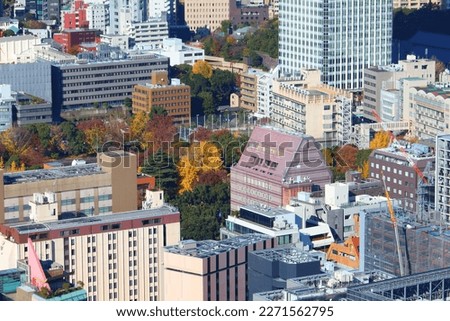 Tokyo city aerial view. Shibakoen district in Minato Ward. Royalty-Free Stock Photo #2271562795