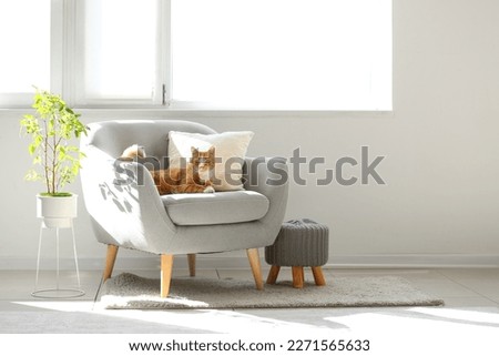 Cute red cat lying on grey armchair in living room Royalty-Free Stock Photo #2271565633