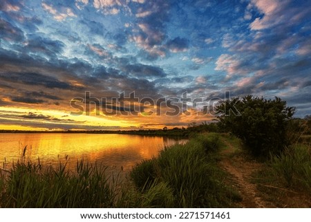 Sunrise on the river bank, trees and reeds in the foreground