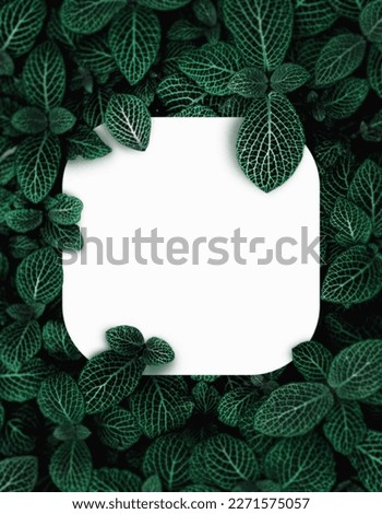  green leaf  with white round corner patch , natural green background, tropical leaves design