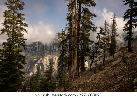 Cloud Puffs Waft through the Canyon along the Watchtower Trail in Sequoia National Park Royalty-Free Stock Photo #2271608825