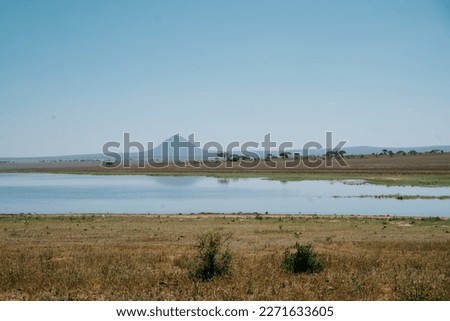 View over the savannah in Tarangire National Park Royalty-Free Stock Photo #2271633605