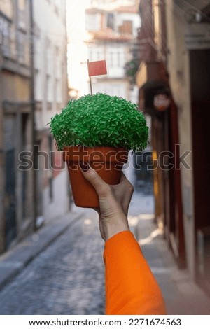 Woman hand with Basil in a pot Manjerico plants on the street. The symbol of the Portuguese holiday, Summer festival in June. Santos Populares. Portugal. Royalty-Free Stock Photo #2271674563