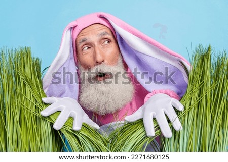 Photo of funky impressed pensioner guy dressed bunny kigurumi hiding grass looking empty space isolated blue color background