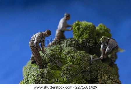 Newest miniature photo - Tiny garden with work people