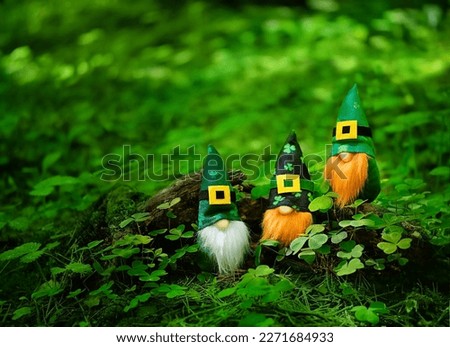 toy gnomes in forest, abstract green natural background. magic friends dwarfs in mystery nature. fairy tale image. spring, summer season. symbol of Ireland, St. Patrick day, traditional irish holiday