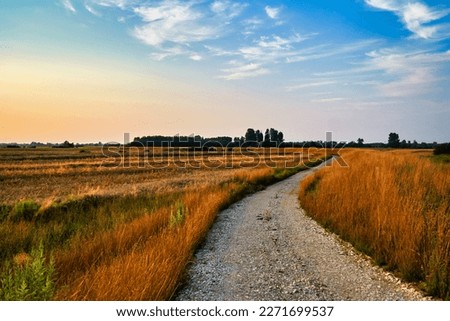 Dirt road through the field at sunset. Beautiful summer landscape. Royalty-Free Stock Photo #2271699537