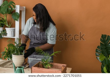 Spring hobby happy young woman transplanting in flower pot houseplant with dirt or soil at home copy space. Gardening plant and green tropical concept
