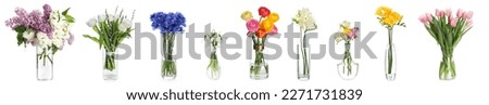 Collage with many beautiful flowers in glass vases on white background Royalty-Free Stock Photo #2271731839