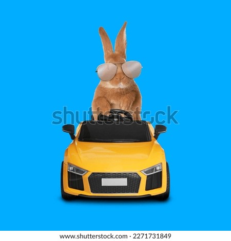 Adorable bunny with stylish sunglasses in toy car on light blue background