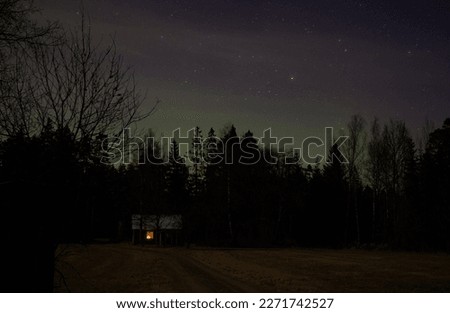 Northern lights over the forest