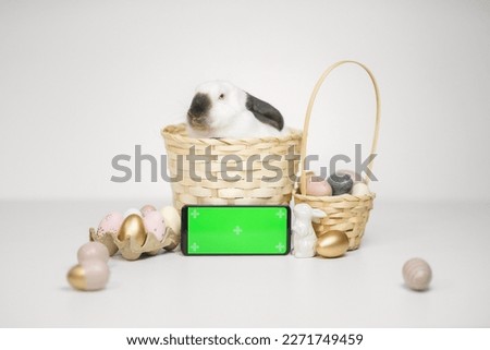 Easter bunny into the basket with eggs and a green screen phone on a white background. Chroma key horiszontal smartphone mock up for advertising on the eve for the Christian holiday Easter. Soft focus