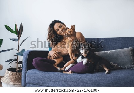 Joyful fit woman having fun with adorable mongrel dogs spending leisure time in home living room, cheerful female resting at comfortable couch with cute doggie pets enjoying friendship indoors Royalty-Free Stock Photo #2271761007