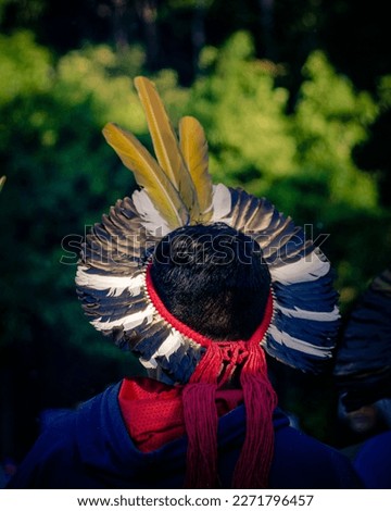 Sao Paulo, SP, Brazil - November 15 2021: Amazonian Indian, from the back, wearing a headdress of colored feathers. Royalty-Free Stock Photo #2271796457