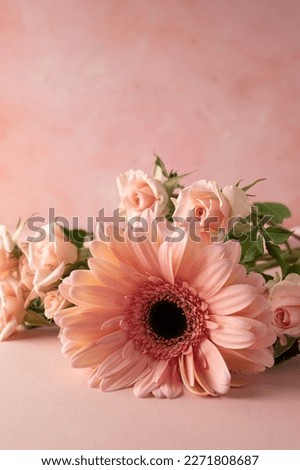 Gerbera and roses fresh flower closeup over pink background. Feminine greeting card